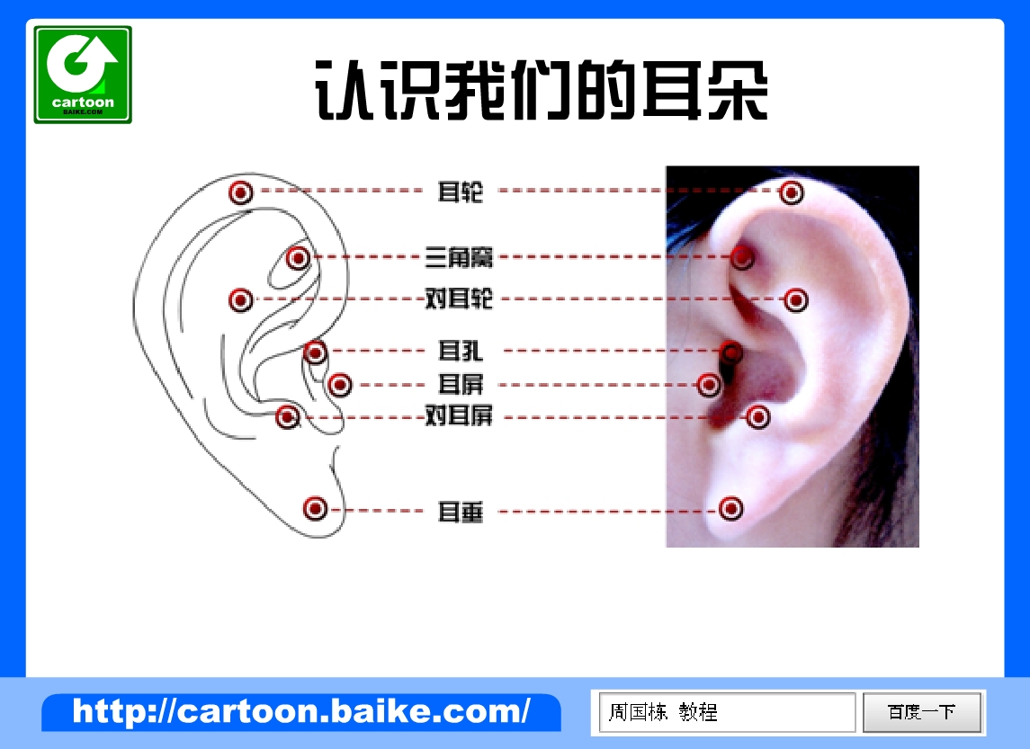 12962052 >>12961982 那是你戴錯 這種只要耳機一邊卡在附圖對耳屏就